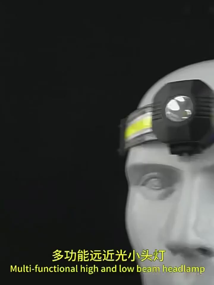Portable Rechargeable Head Lamp XPE COB